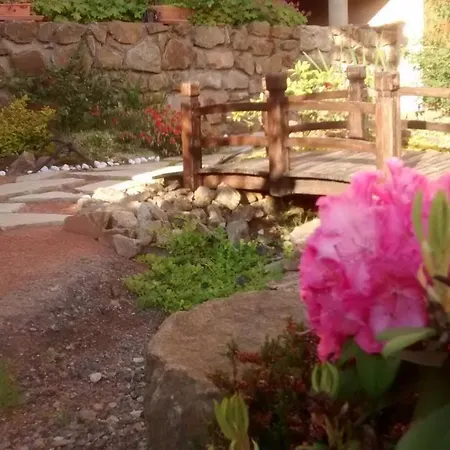 Domaine Des Roches * Coise